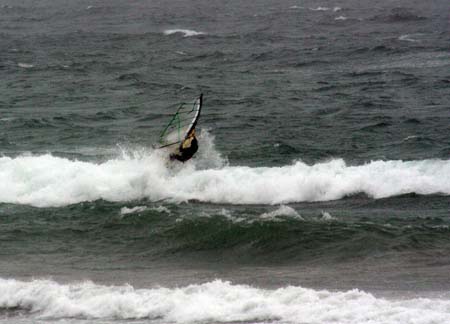 DSWS0024c