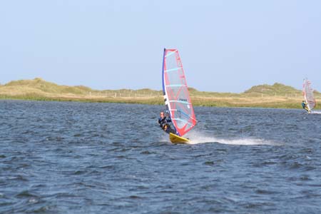 DSWS0036