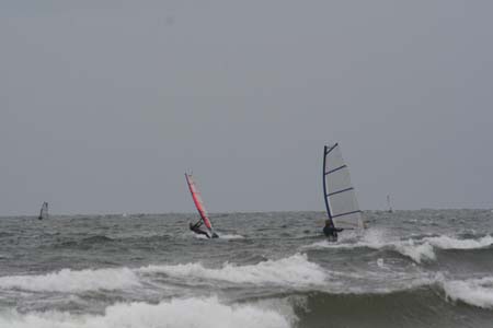 DSWS0077