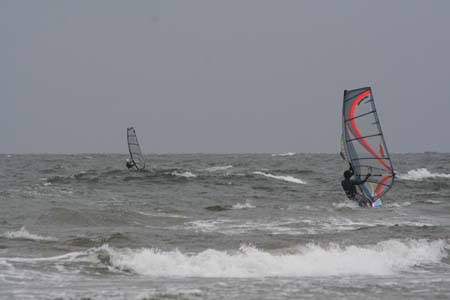 DSWS0084