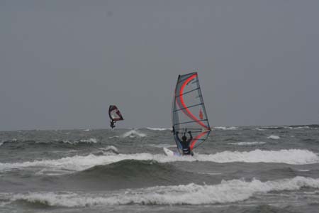 DSWS0088