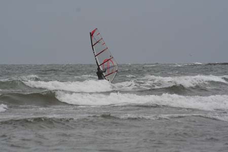 DSWS0099